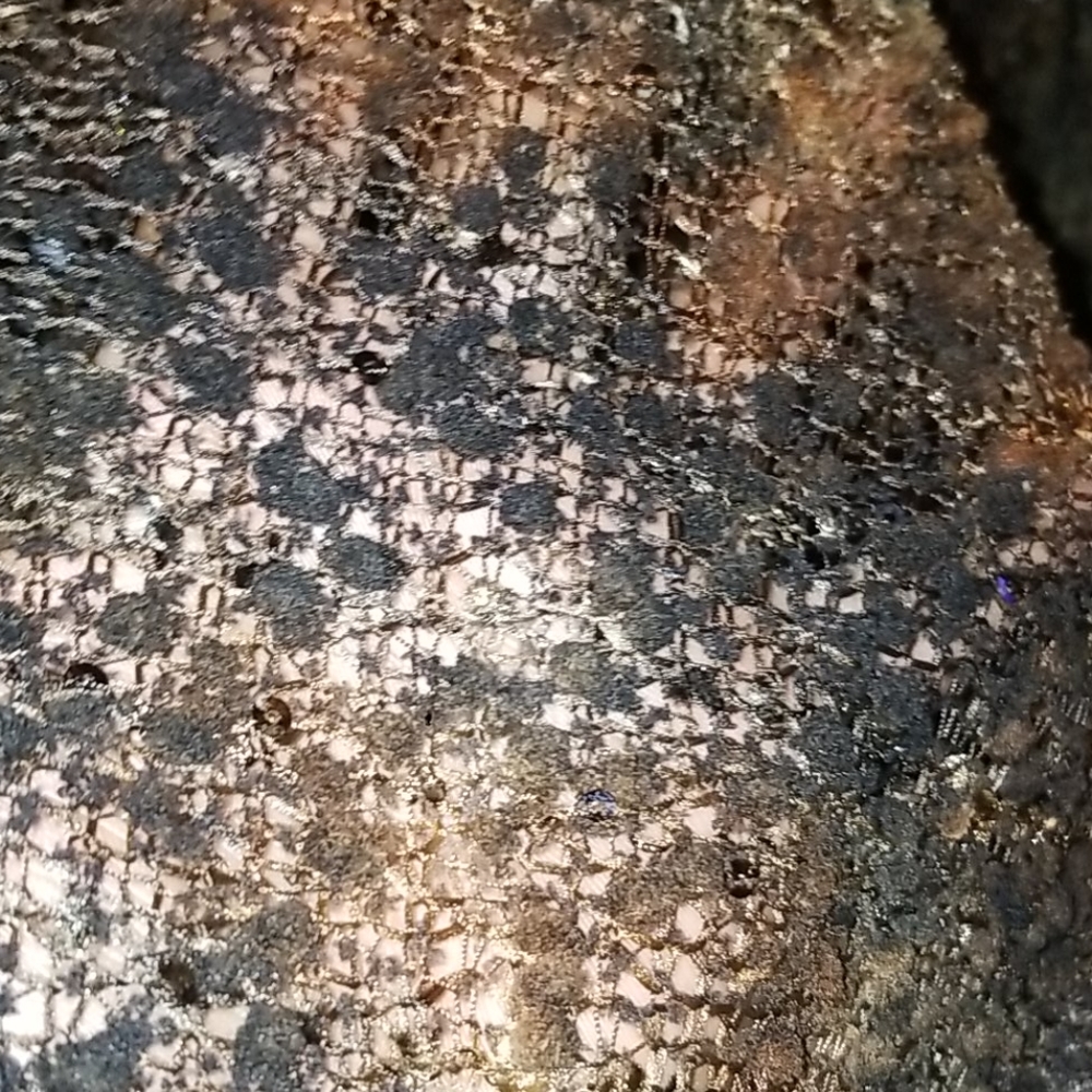 Equestrian Sequin Hooded Duster - image 6